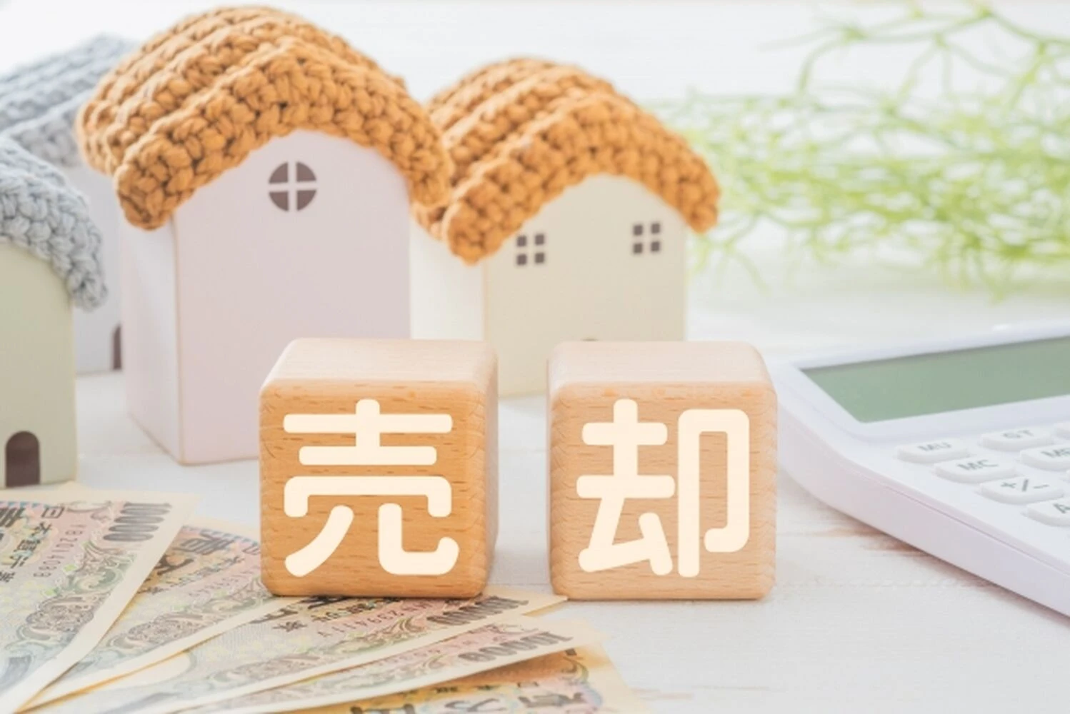 画像2063