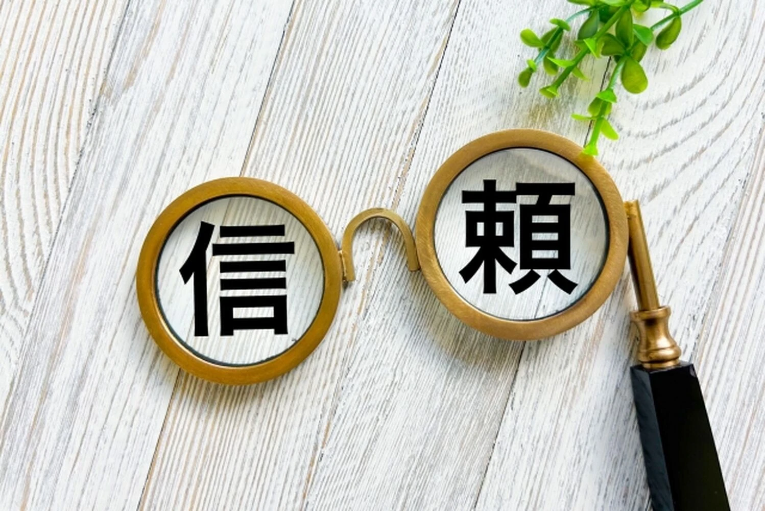 画像2816
