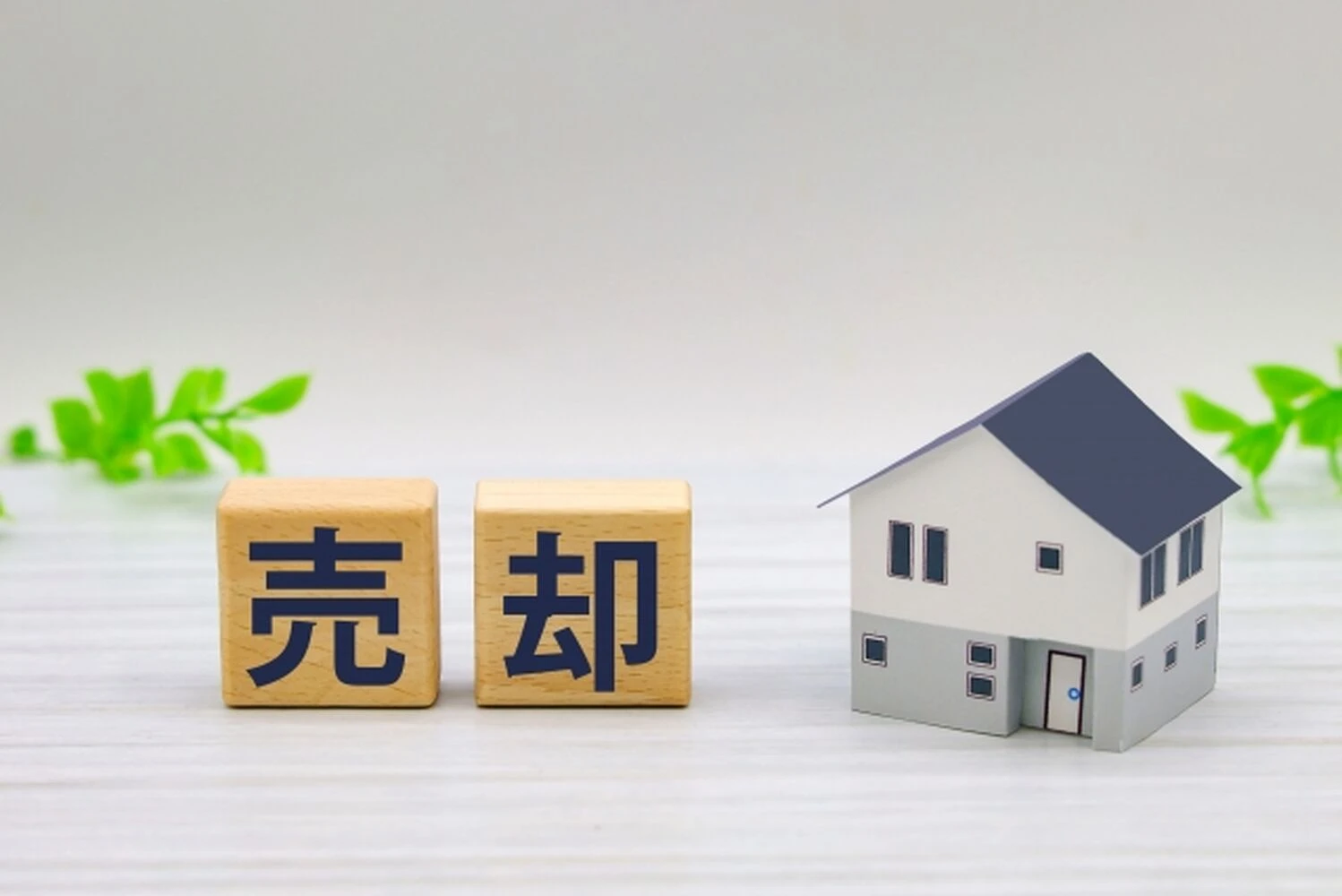 画像3076