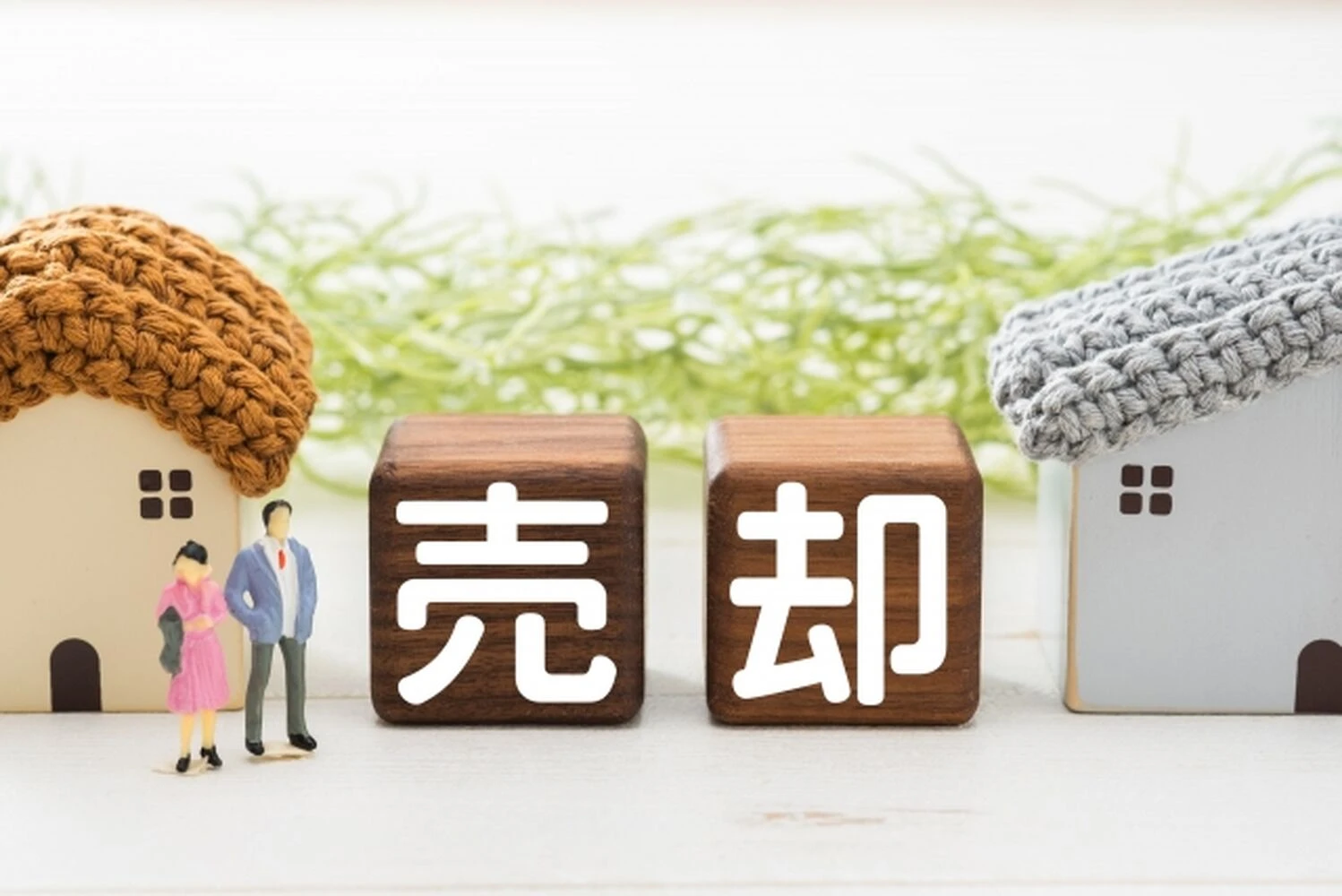 画像3102